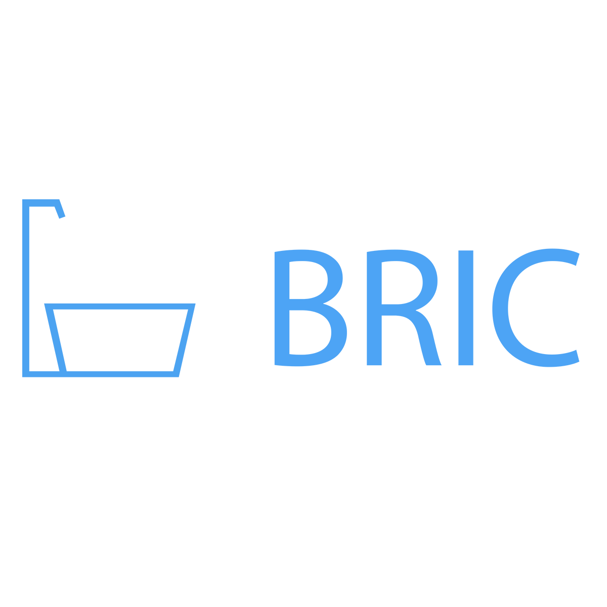 BRIC Logo